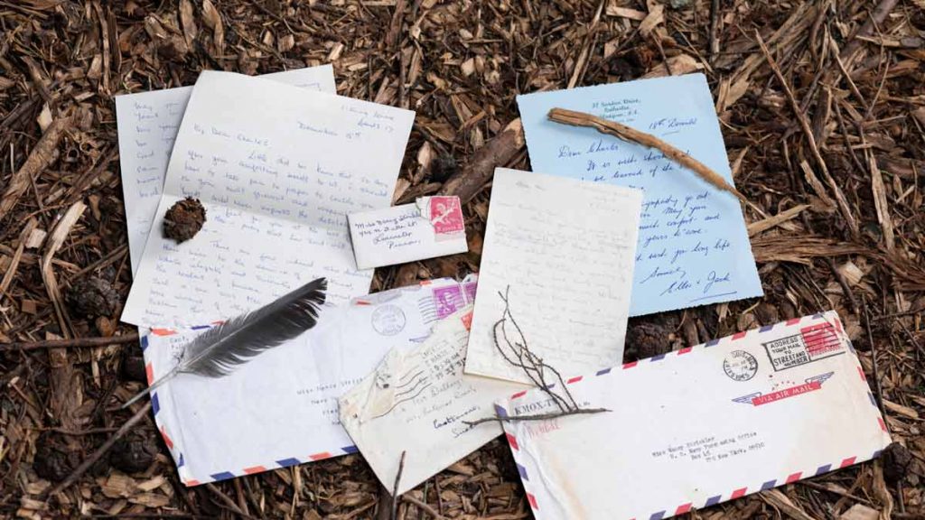 Letters and envelopes spread on the forest floor in different shapes and sizes.