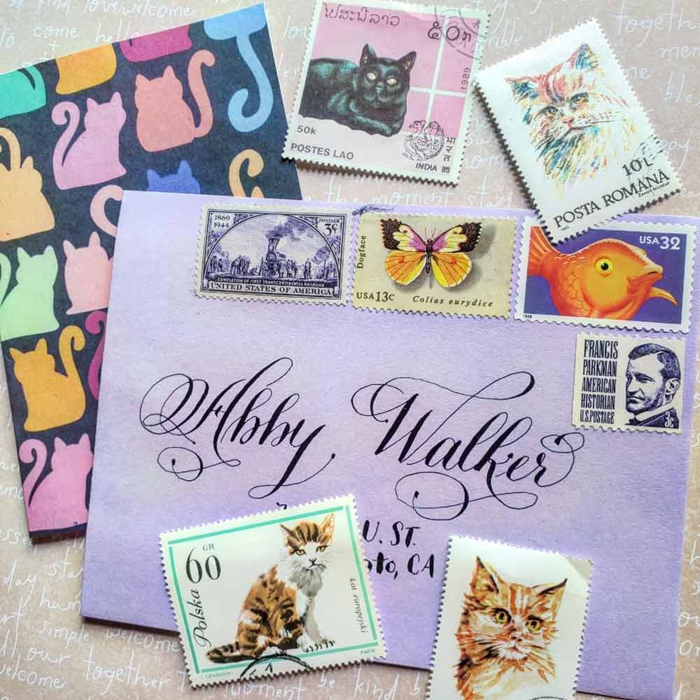 Two envelopes that are decorated with images of cats and which are sent from Instagram pen pals. 