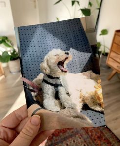 Custom Postcards From PenPal